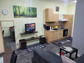 Wohnung in Elz